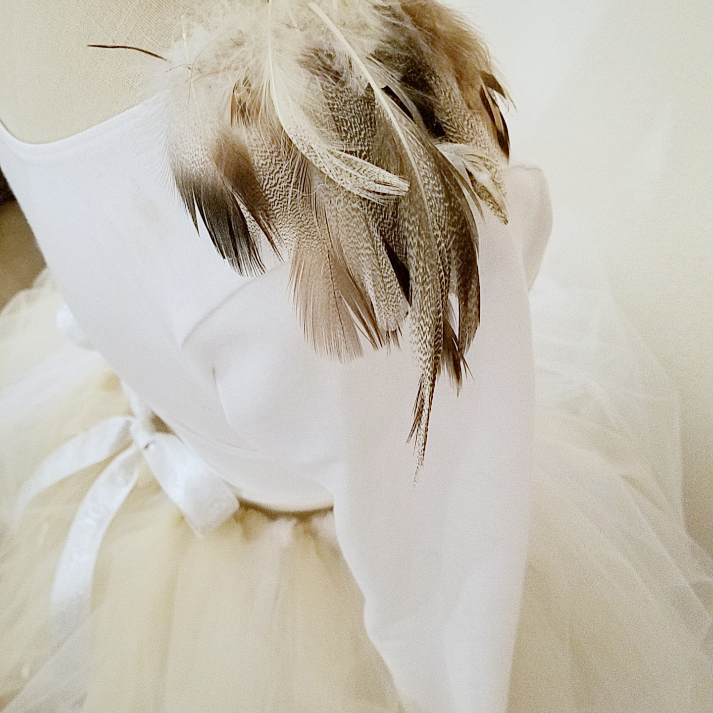 DIY Tutorial on How to Make a Tutu Skirt and a Bird Costume